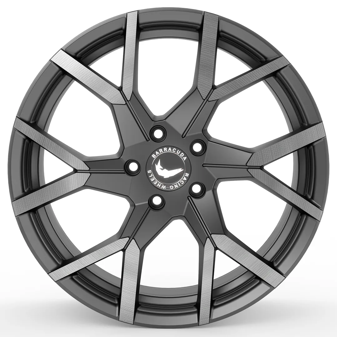 Barracuda Tzunamee Evo