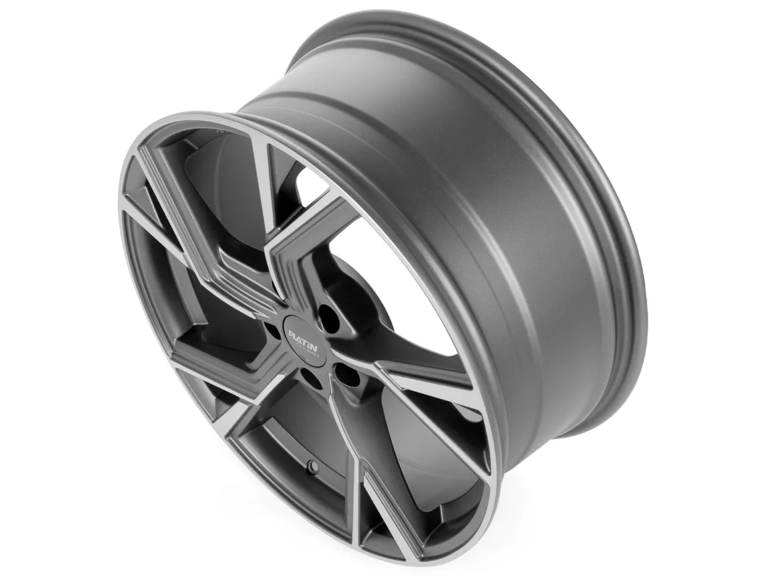 Platin P100