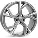 Platin P100